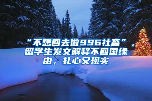 “不想回去做996社畜”，留学生发文解释不回国缘由，扎心又现实