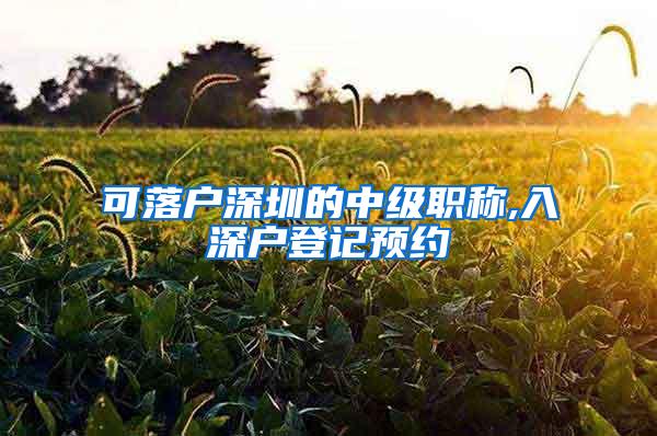 可落户深圳的中级职称,入深户登记预约