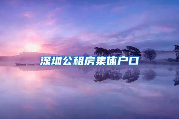 深圳公租房集体户口