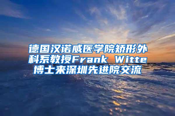 德国汉诺威医学院矫形外科系教授Frank Witte博士来深圳先进院交流