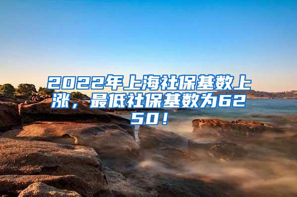 2022年上海社保基数上涨，最低社保基数为6250！