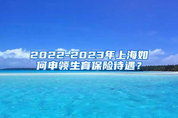 2022-2023年上海如何申领生育保险待遇？