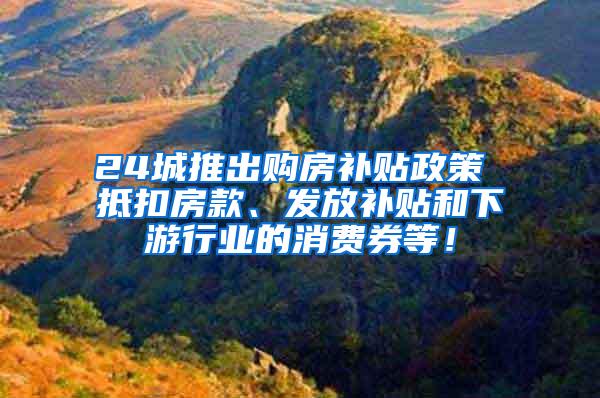 24城推出购房补贴政策 抵扣房款、发放补贴和下游行业的消费券等！