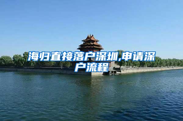 海归直接落户深圳,申请深户流程