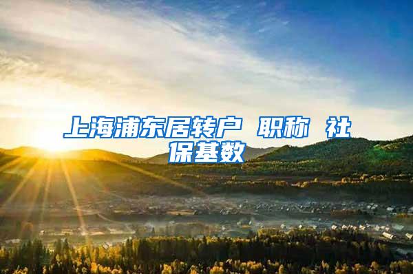 上海浦东居转户 职称 社保基数