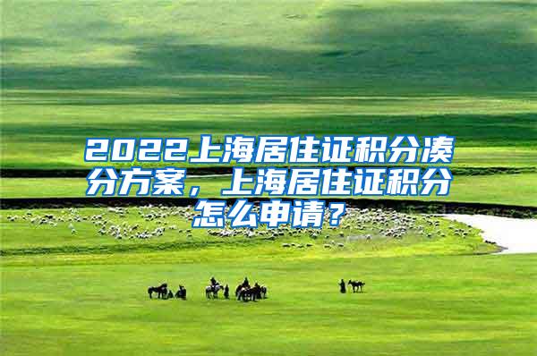 2022上海居住证积分凑分方案，上海居住证积分怎么申请？