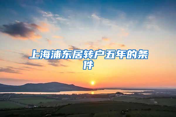 上海浦东居转户五年的条件