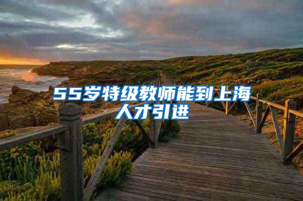 55岁特级教师能到上海人才引进