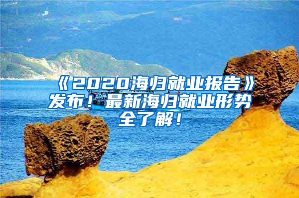 《2020海归就业报告》发布！最新海归就业形势全了解！