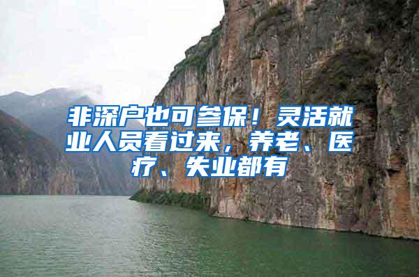 非深户也可参保！灵活就业人员看过来，养老、医疗、失业都有