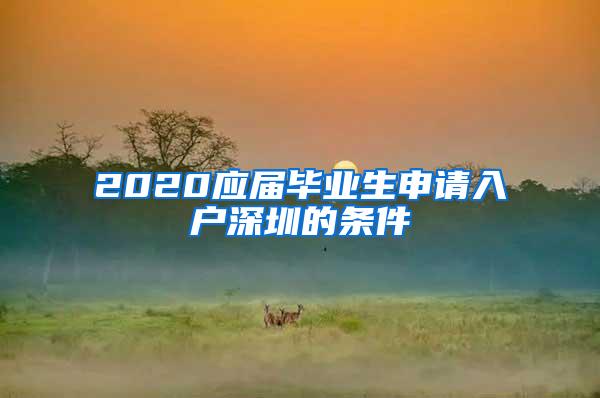 2020应届毕业生申请入户深圳的条件