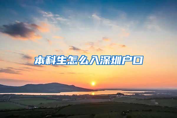 本科生怎么入深圳户口