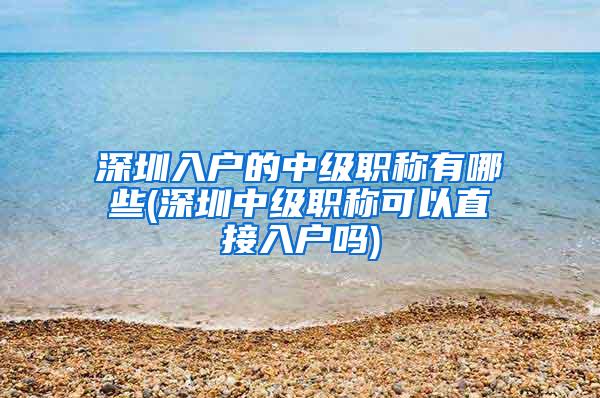 深圳入户的中级职称有哪些(深圳中级职称可以直接入户吗)