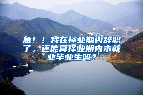 急！！我在择业期内辞职了，还能算择业期内未就业毕业生吗？