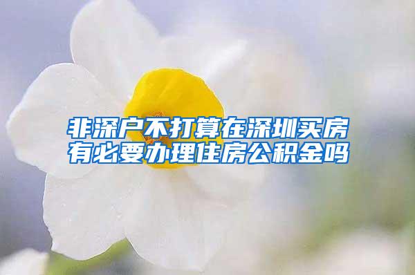 非深户不打算在深圳买房有必要办理住房公积金吗