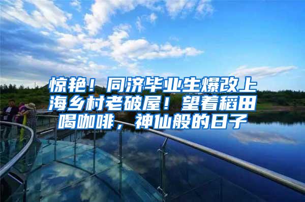 惊艳！同济毕业生爆改上海乡村老破屋！望着稻田喝咖啡，神仙般的日子