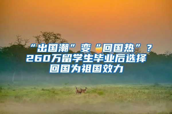 “出国潮”变“回国热”？260万留学生毕业后选择回国为祖国效力