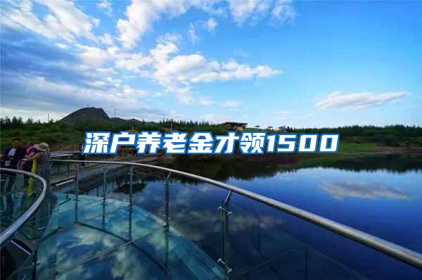 深户养老金才领1500