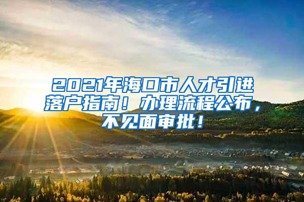 2021年海口市人才引进落户指南！办理流程公布，不见面审批！