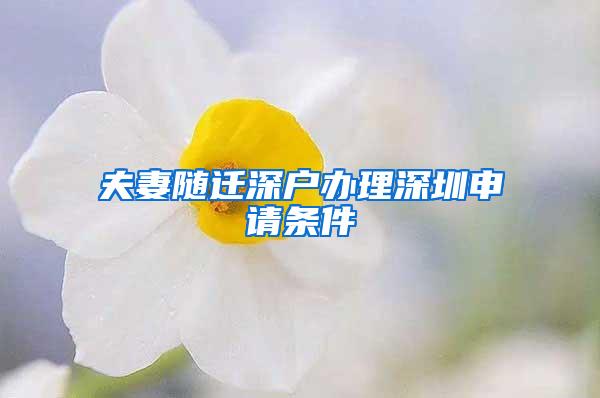 夫妻随迁深户办理深圳申请条件