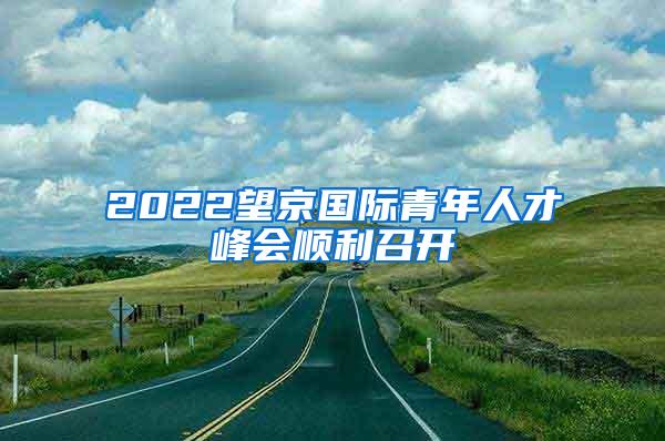 2022望京国际青年人才峰会顺利召开