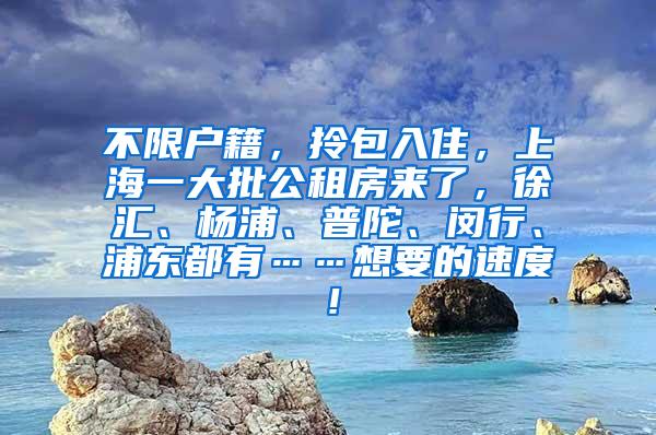 不限户籍，拎包入住，上海一大批公租房来了，徐汇、杨浦、普陀、闵行、浦东都有……想要的速度！