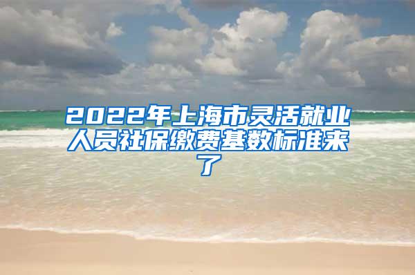 2022年上海市灵活就业人员社保缴费基数标准来了