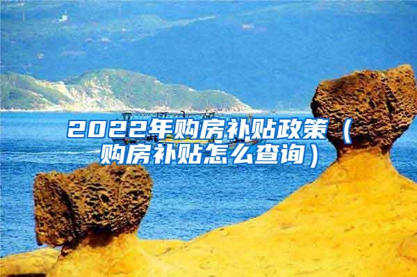 2022年购房补贴政策（购房补贴怎么查询）