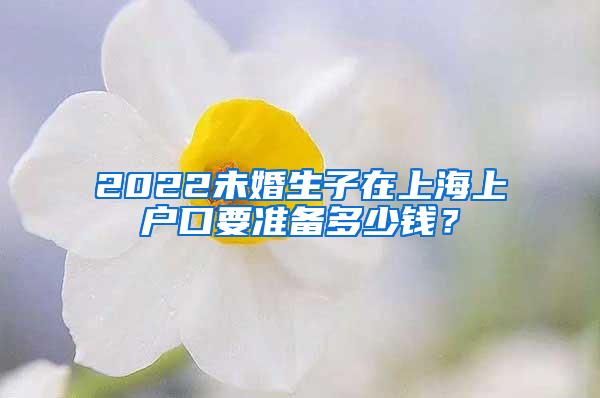 2022未婚生子在上海上户口要准备多少钱？