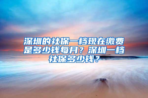 深圳的社保一档现在缴费是多少钱每月？深圳一档社保多少钱？