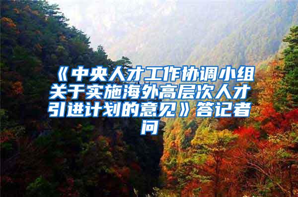 《中央人才工作协调小组关于实施海外高层次人才引进计划的意见》答记者问