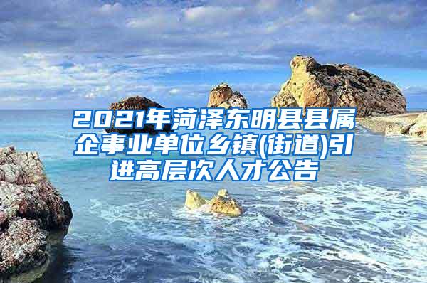 2021年菏泽东明县县属企事业单位乡镇(街道)引进高层次人才公告