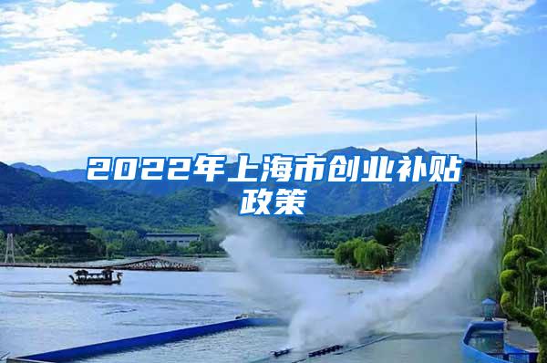 2022年上海市创业补贴政策