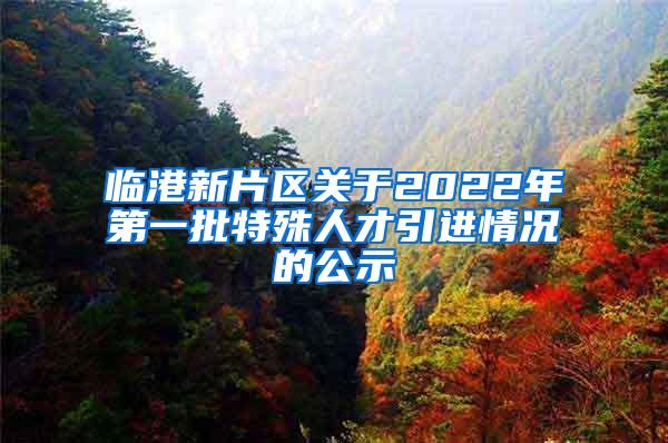 临港新片区关于2022年第一批特殊人才引进情况的公示