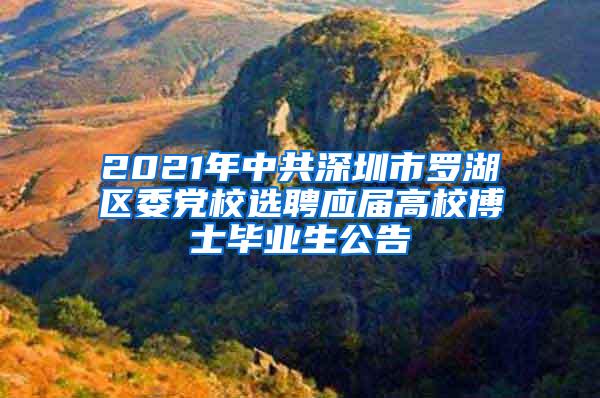 2021年中共深圳市罗湖区委党校选聘应届高校博士毕业生公告