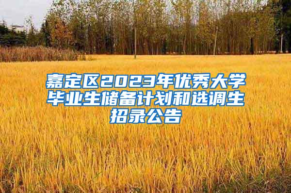 嘉定区2023年优秀大学毕业生储备计划和选调生招录公告