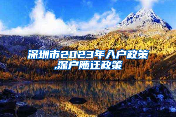 深圳市2023年入户政策,深户随迁政策