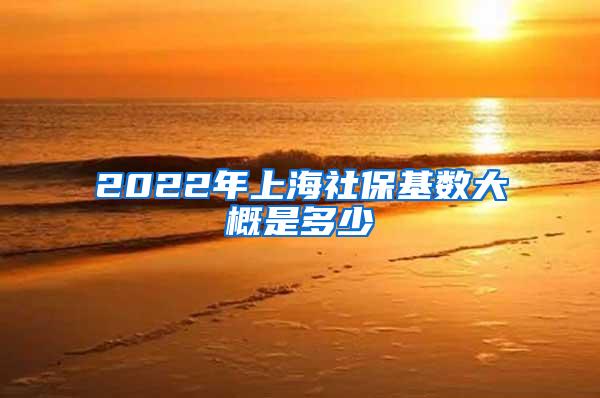 2022年上海社保基数大概是多少