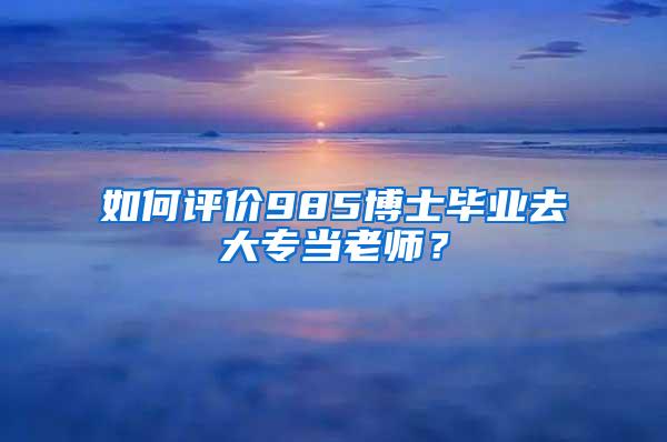 如何评价985博士毕业去大专当老师？