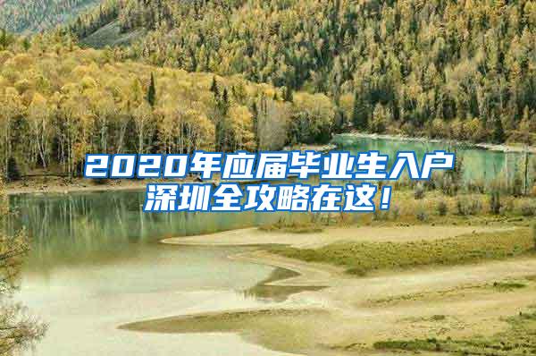 2020年应届毕业生入户深圳全攻略在这！