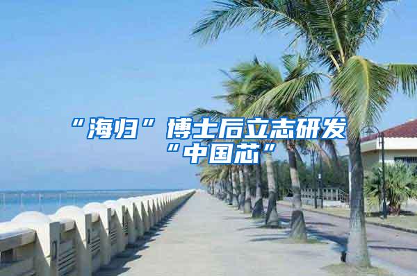 “海归”博士后立志研发“中国芯”