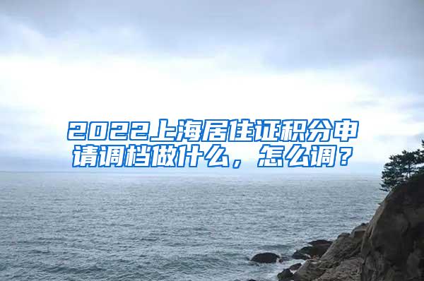 2022上海居住证积分申请调档做什么，怎么调？