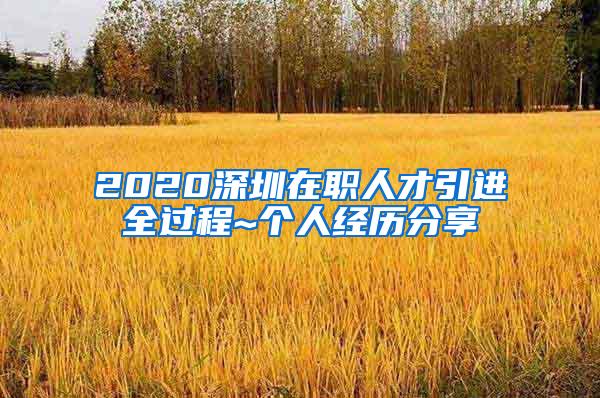 2020深圳在职人才引进全过程~个人经历分享