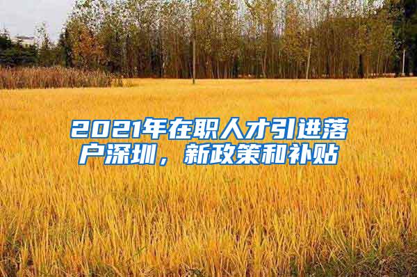 2021年在职人才引进落户深圳，新政策和补贴