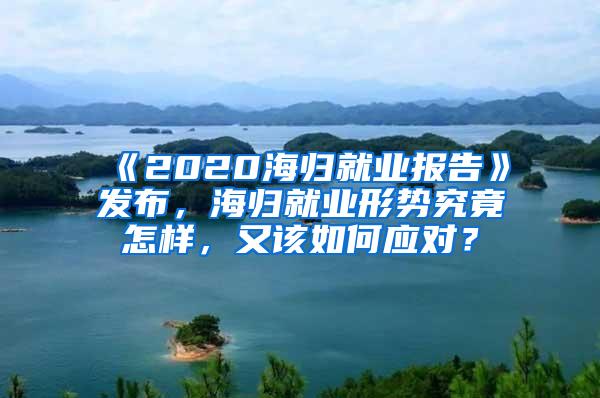 《2020海归就业报告》发布，海归就业形势究竟怎样，又该如何应对？