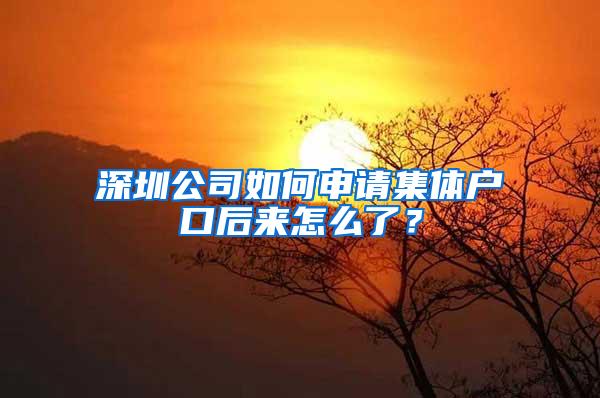 深圳公司如何申请集体户口后来怎么了？