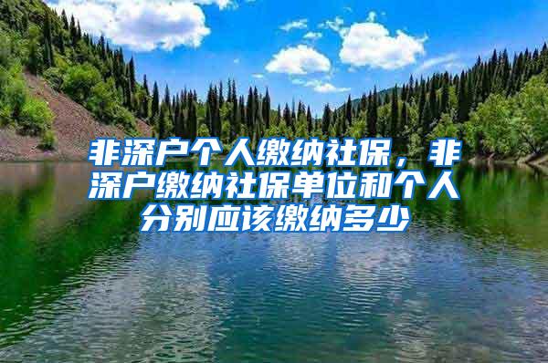 非深户个人缴纳社保，非深户缴纳社保单位和个人分别应该缴纳多少