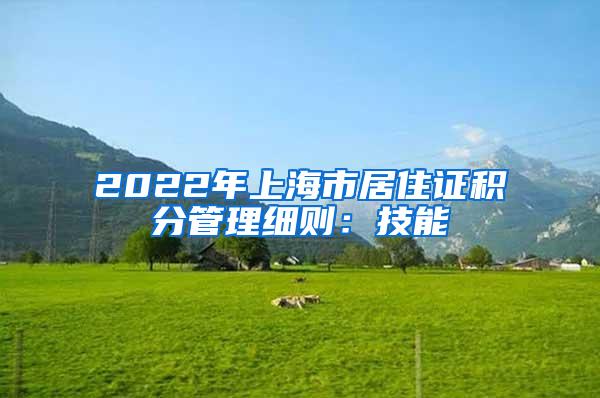 2022年上海市居住证积分管理细则：技能