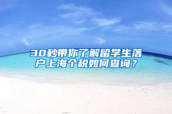 30秒带你了解留学生落户上海个税如何查询？