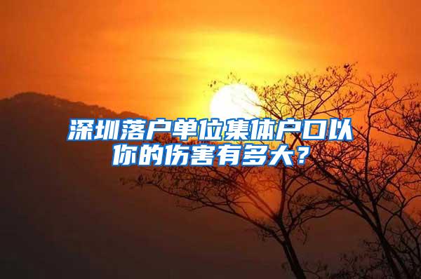 深圳落户单位集体户口以你的伤害有多大？